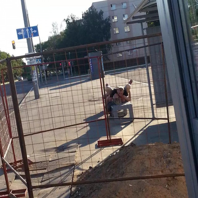 Скотсети и прочие интернеты 18.06.18