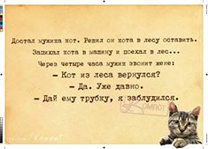 Опять обдолбался, паршивец!?
