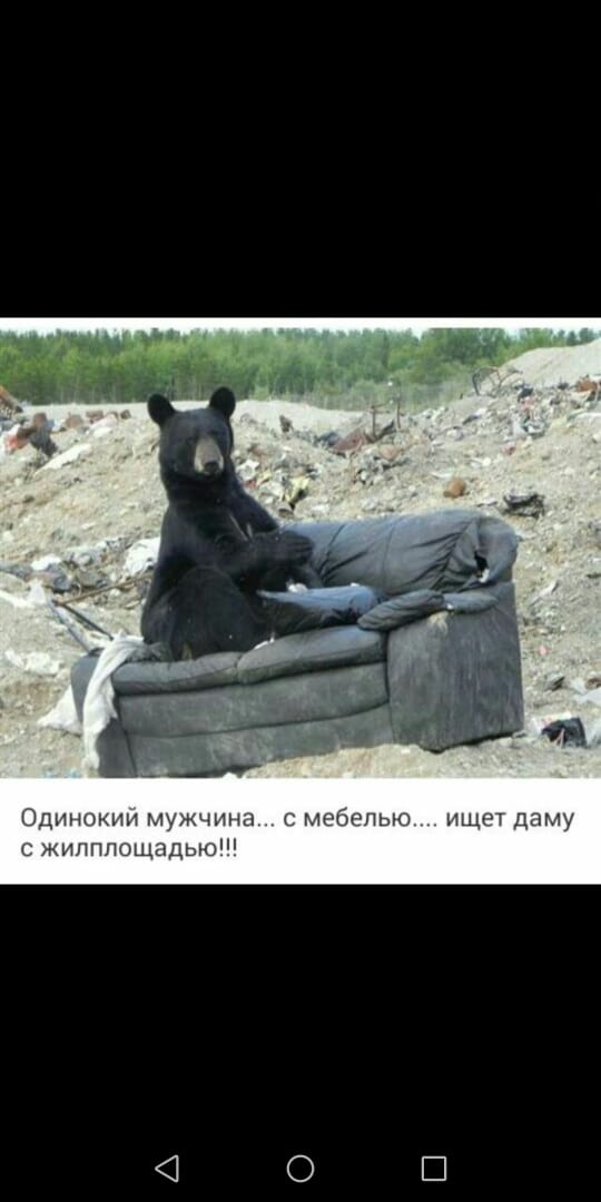 Немного картинок в эту среду