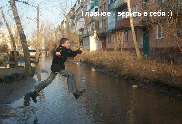 Лента прикольных картинок