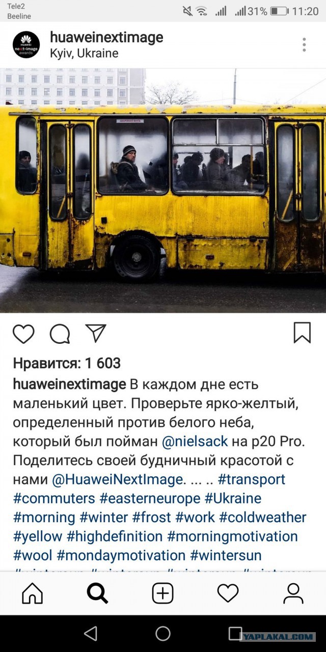 Автобус