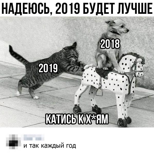 Смешные комментарии из социальных сетей 28.12.2018