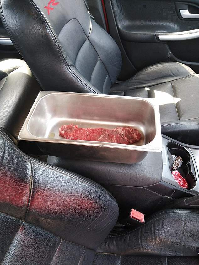 Австралиец оставил кусок мяса в своей машине, вернулся через четыре часа