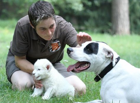 Папаня! Ну вот... а то все "мама" да "мама"!