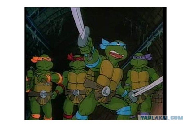 Черепахи умирают молча