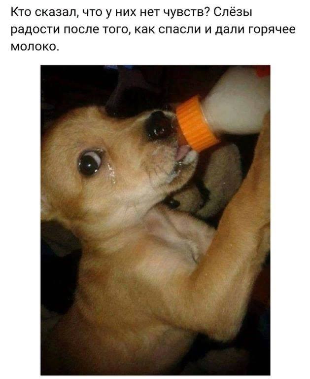 Не очень адекватный юмор