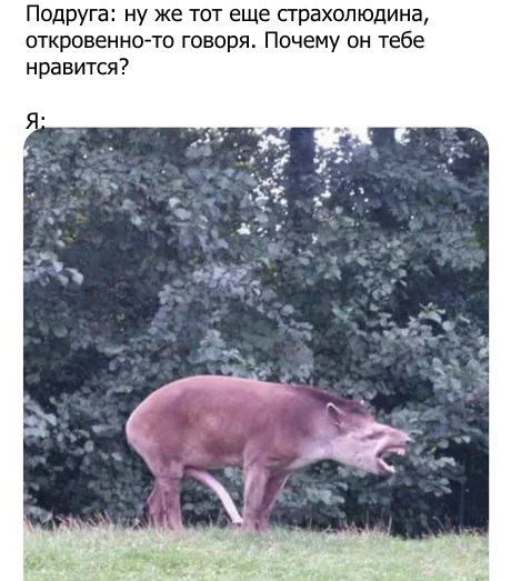 Сам не свой