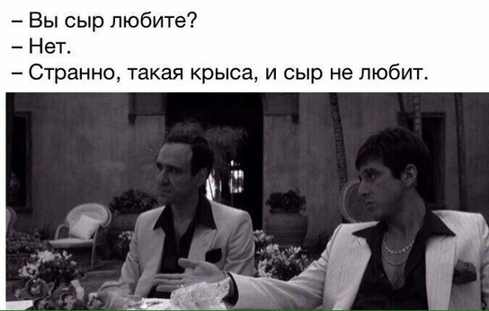 Подборка весёлых картинок