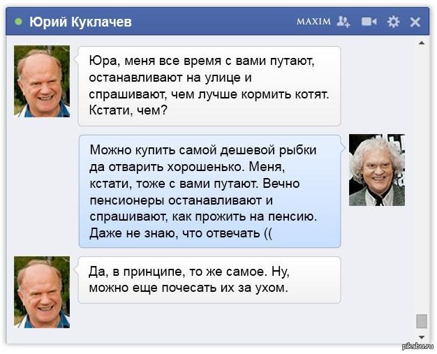 Куклачев объяснил, почему россияне чаще заводят кошек, чем собак