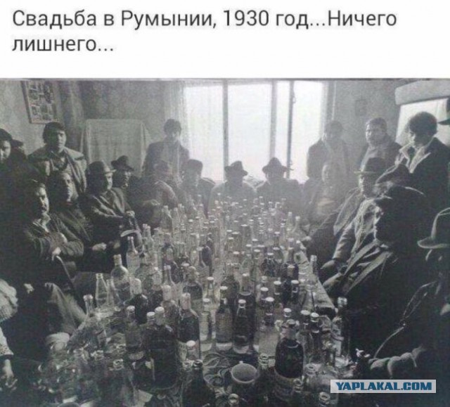 Йумор, плоский, как Земля