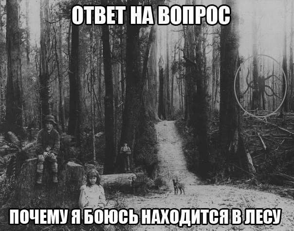 Немного картинок с надписями и без - 37