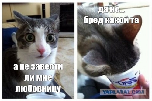 Почему я не завожу любовницу
