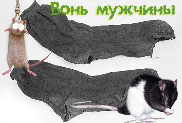 Фотожаба: Негатив