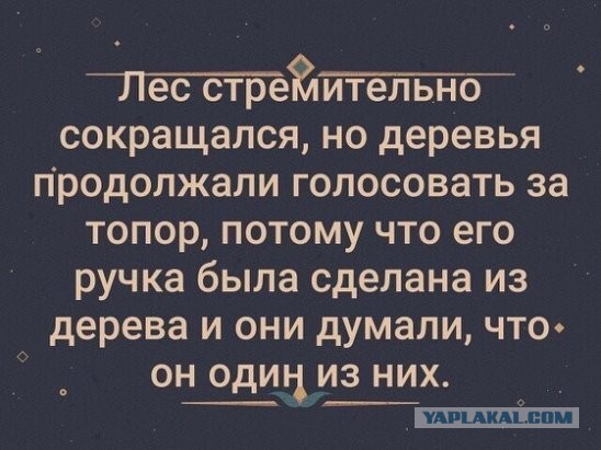 Субботний неадэкват