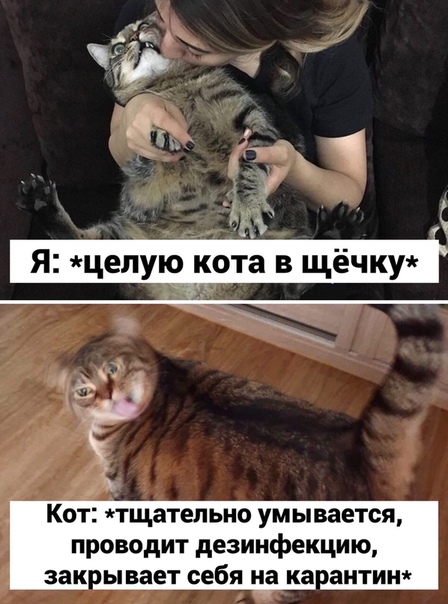 Моя подборка картинок для любимого сайта с любимого сайта