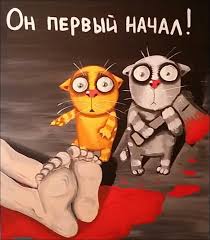 Зачем котика напугали, ироды?