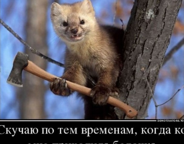 (G)old 3