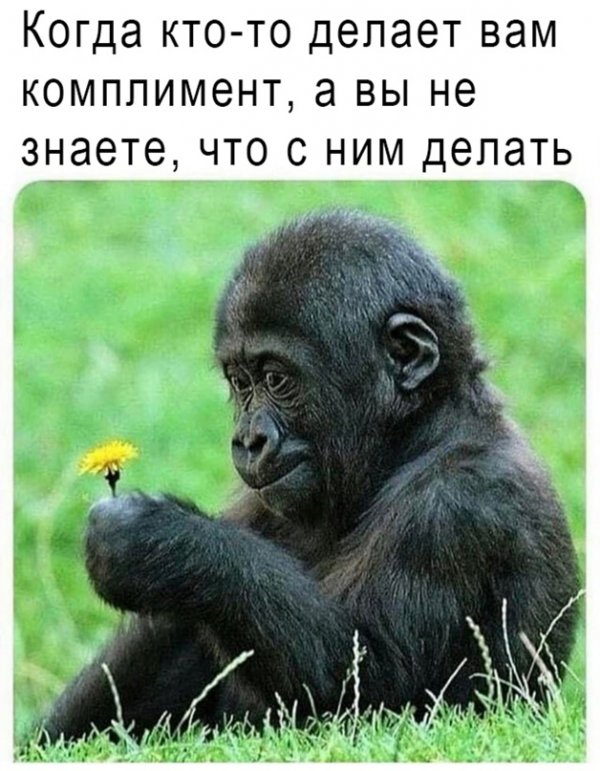 Прикольные и просто красивые картинки 10.03.2011