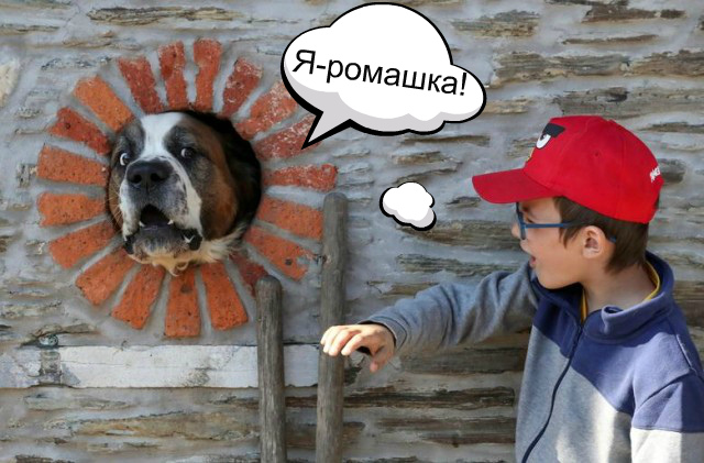 Фотожаба "Собакевич в окне"