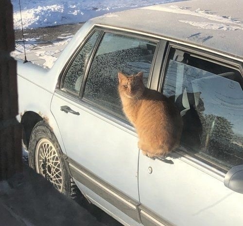 Калейдоскоп картинок