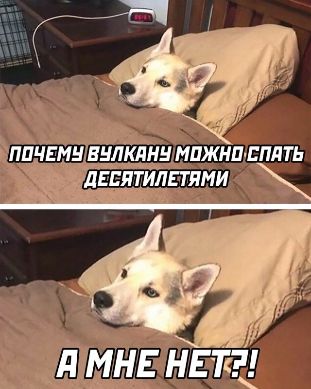 Картинки с надписями и всякие жизненные фразы 11.05.21