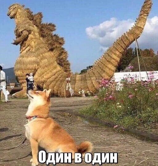 Так себе картинки 23.05.21