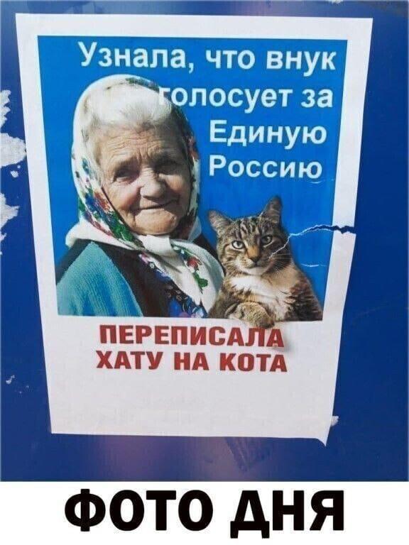 "Мы тут как-нибудь сами". Тимашевск, Краснодарский край