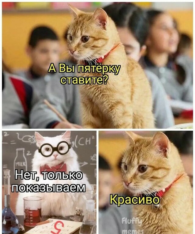 Картинки и мемы для настроения 001