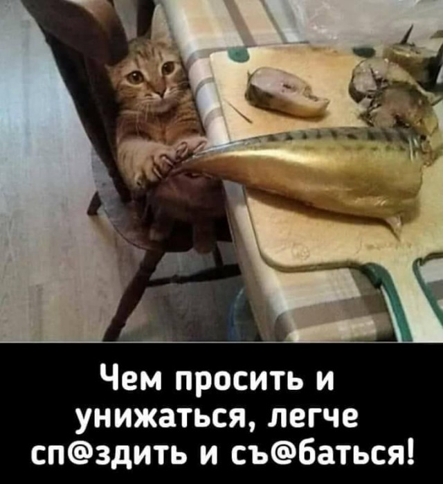 Картинки и мемы для настроения 13.09.2021