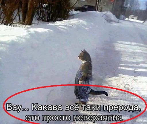 Баянисто-небаянистый юмор 23.12.21