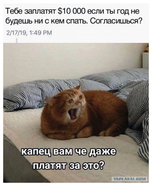 Утренняя подборка картинок и мемов - 6