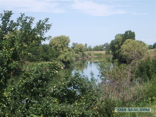 Алматы 2011: город контрастов