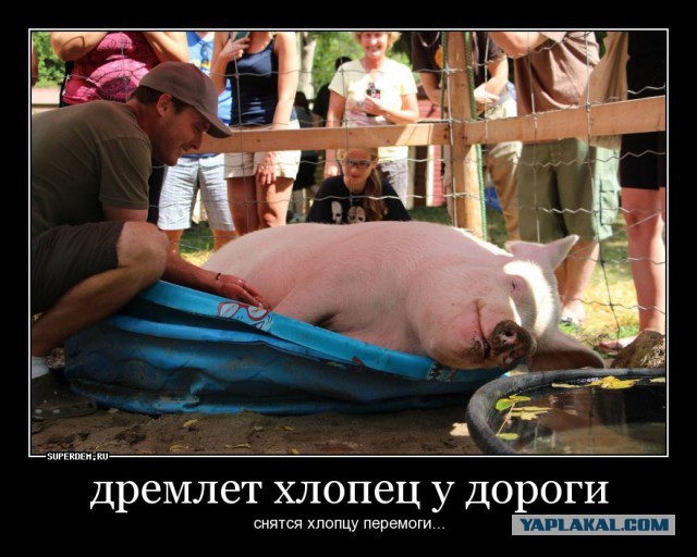 Так какой был план спецоперации?