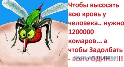 Как же хорошо на природе!