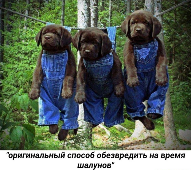 Картинки и мемы для настроения - 27