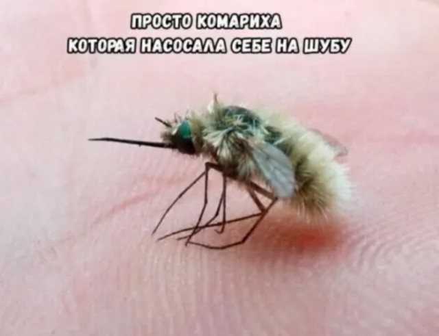 Пятница. Вечер. Картинки всякие #12