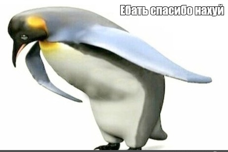 Путин разрешил россиянам разводить кур на дачах