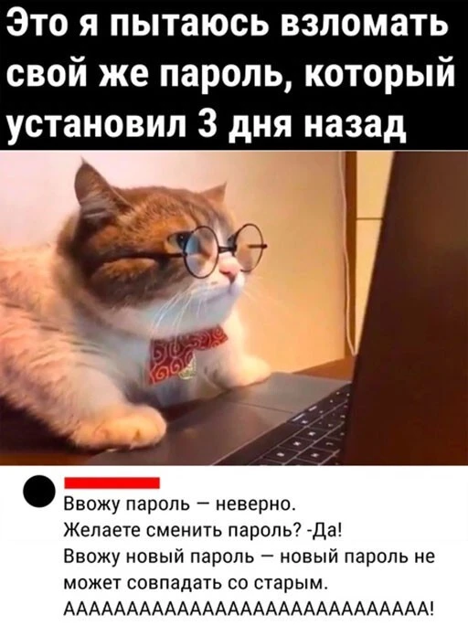 Баянисто-небаянистый юмор 18.07.22