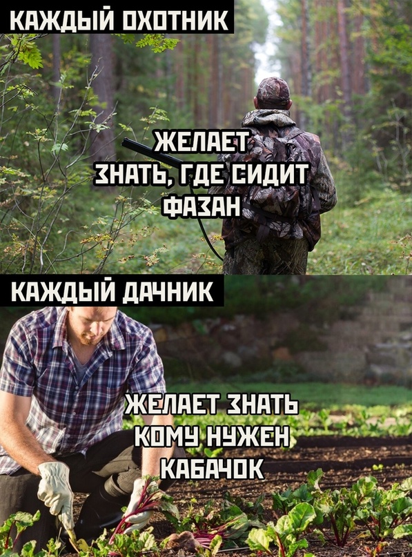 Весёлый полтишок 28.07.22