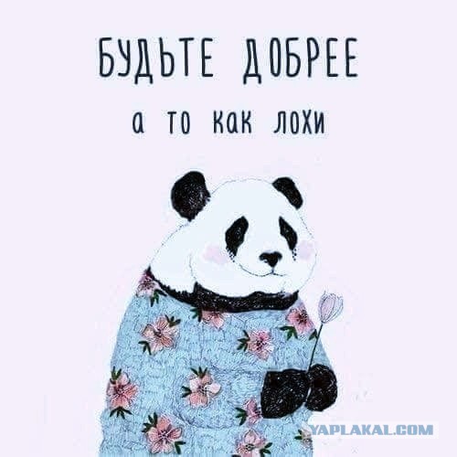 «Мне 29, а я ни разу не целовался». Девственник о своей жизни