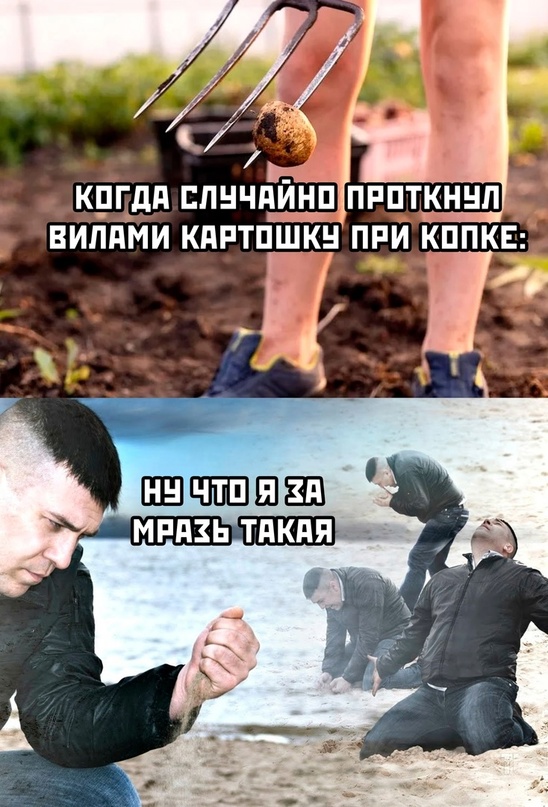 Весёлый полтишок 16.09.22
