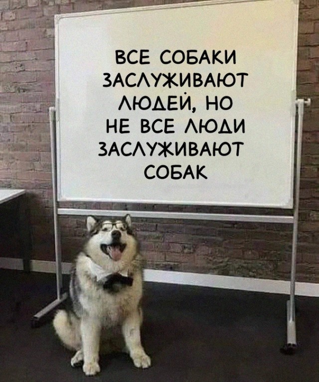 Картинки и мемы для настроения - 111
