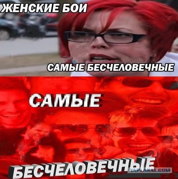 Весёлый полтишок 12.10.22