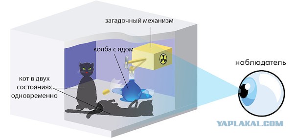 Парадокс