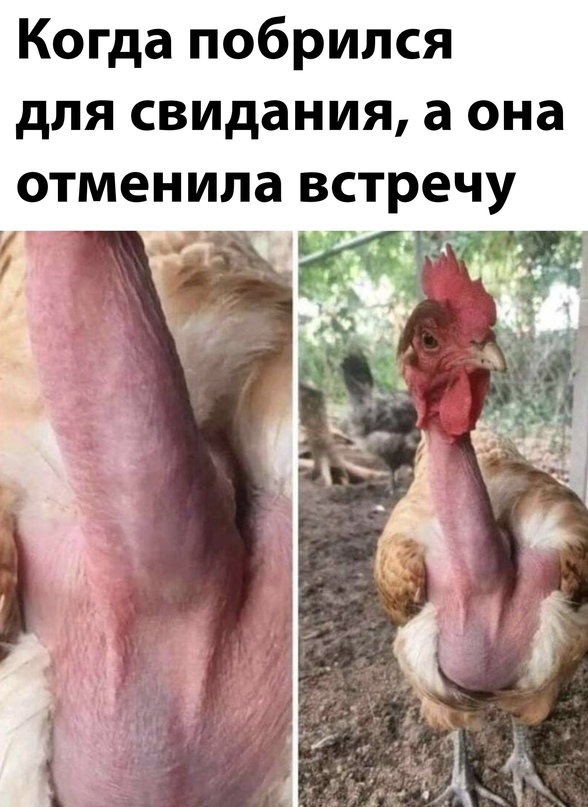 Немного картинок для настроения - 125