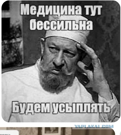 Медведев опять машет ядерной дубинкой