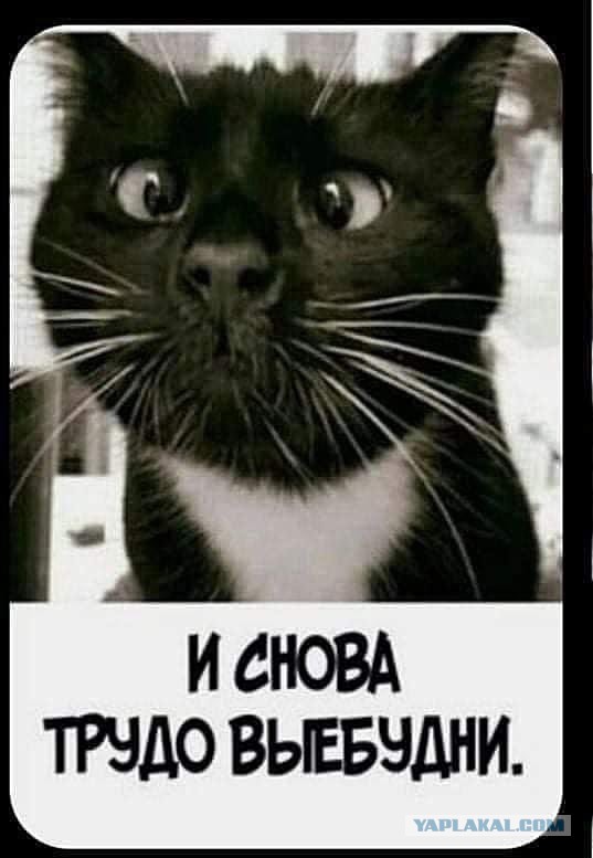 Нуштош 27.03.2023