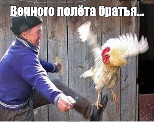 Под Волгоградом разбился военный самолет, судьба пилотов неизвестна