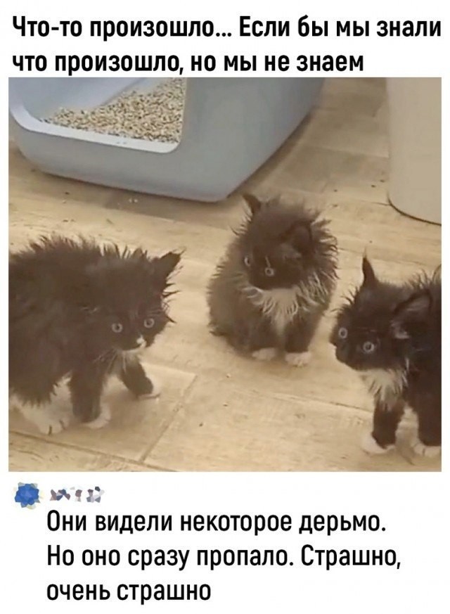 "Ты узнаешь ее из тысячи" Как распознать лесбиянку