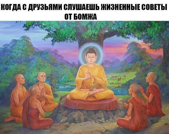 Куча веселых картинок
